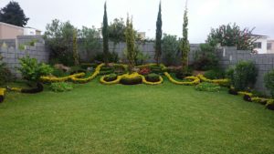 eco-jardines-garden-services-antigua-guatemala-1